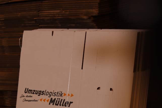 Günstiger Behördenumzug Börnichen Erzgeb